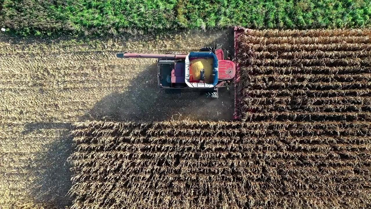 Machinery moving over long trays of nursery seedlings